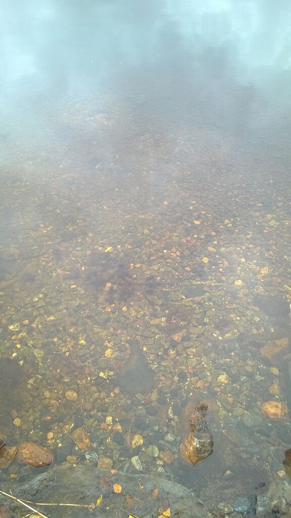 Kallavesi (yhd.)-Brahenpuiston uimaranta-ObsIMG-201710121311-92.jpg