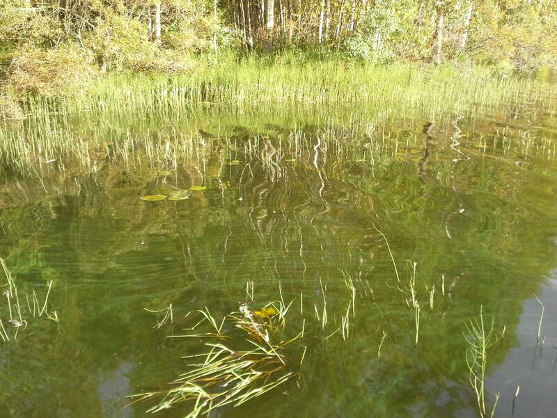 Tiedosto:Karvalahti 30082016.jpg