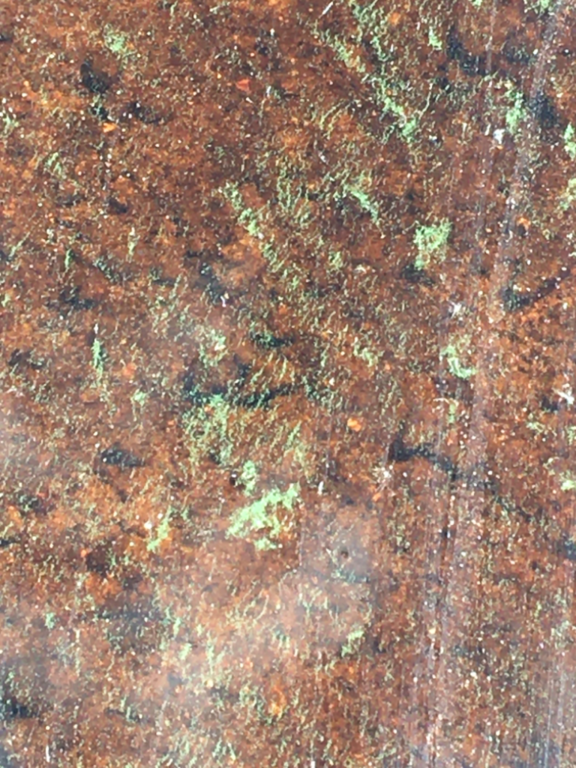 Niemisvesi - Pemu (35.472.1.001)-Havaintopaikka 1-ObsIMG-202108051528-610bda2154596.png