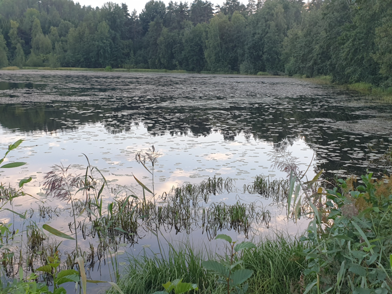 Urpolanlampi (04.152.1.001)-Uusi hulevesiputki-ObsIMG-202408282000-66cf5823b5c2f.png