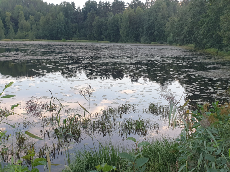 Tiedosto:Urpolanlampi (04.152.1.001)-Uusi hulevesiputki-ObsIMG-202408282000-66cf5823b5c2f.png