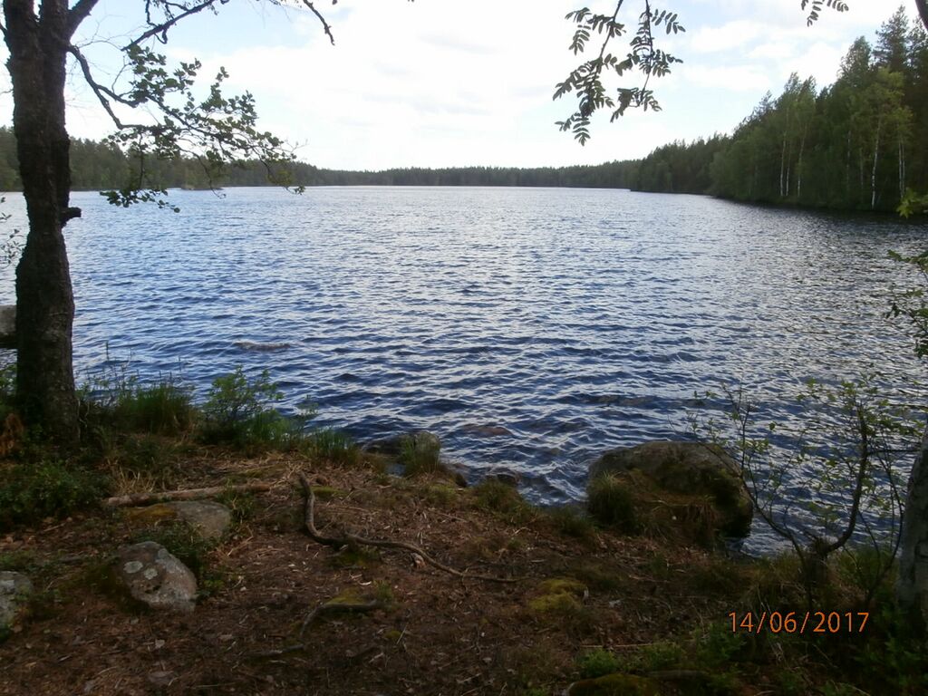 Valkealammi.JPG