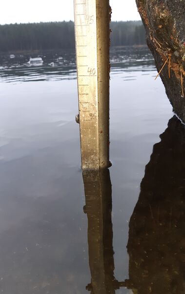 Tiedosto:20191117 125320.jpg