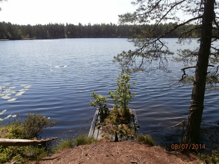 Ahvenlampi 3.JPG