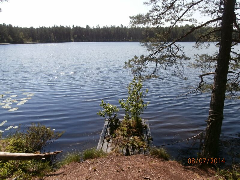 Tiedosto:Ahvenlampi 3.JPG