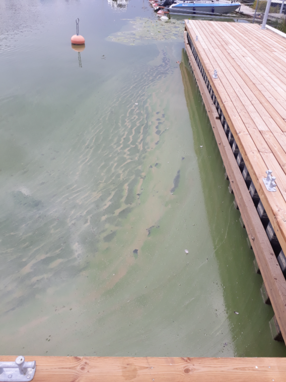 Hiidenvesi (23.031.1.001)-Kirkkojärvi Vihti kk-ObsALG-202108111601-6114b2b10af32.png