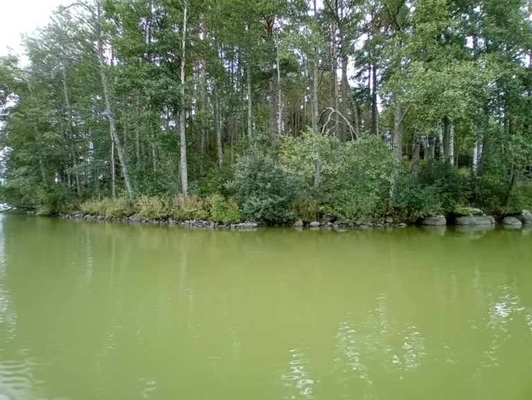 Hiidenvesi (23.031.1.001)-Rysätarha-ObsALG-202309031438-64f631e41d4df.png