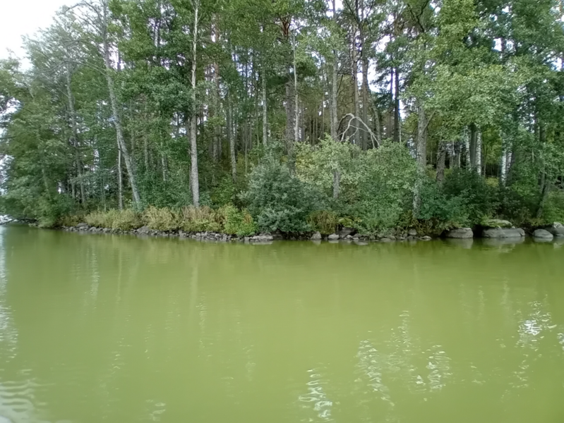 Tiedosto:Hiidenvesi (23.031.1.001)-Rysätarha-ObsALG-202309031438-64f631e41d4df.png