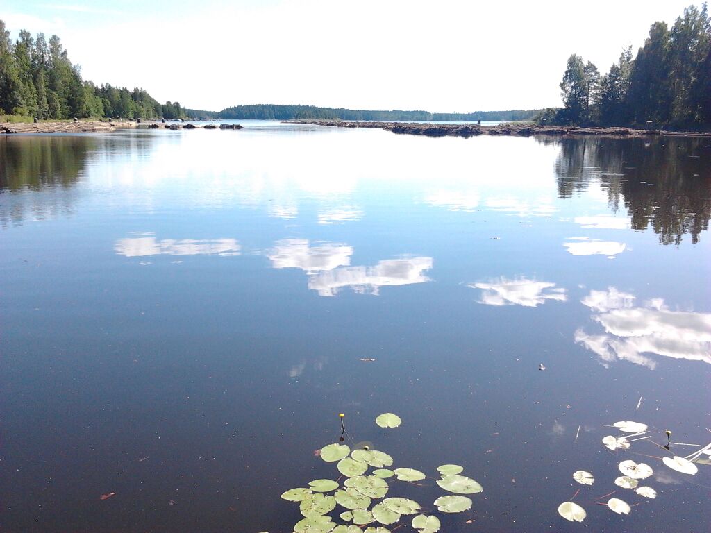 Kallavesi Oravilahti.jpg