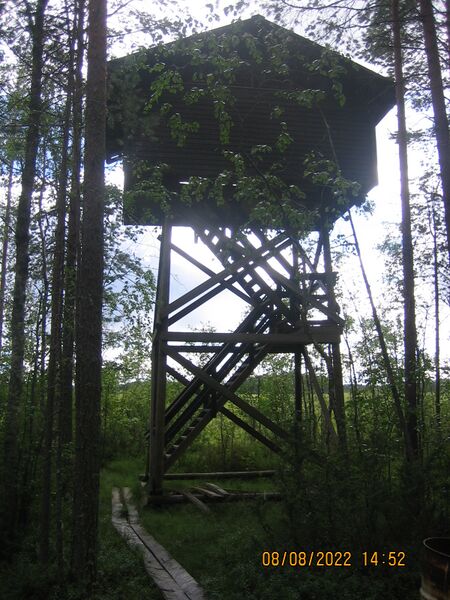 Tiedosto:Kivijärven lintutorni.JPG