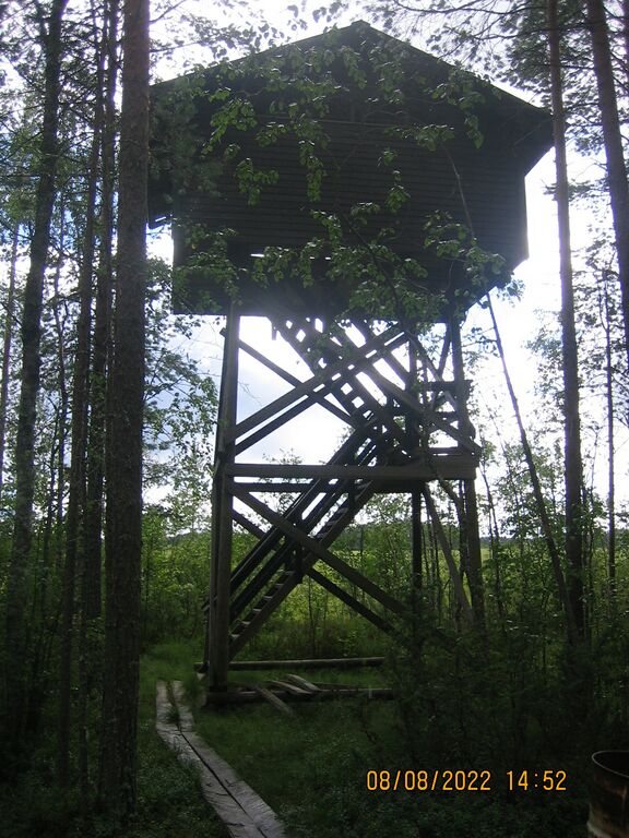 Kivijärven lintutorni.JPG