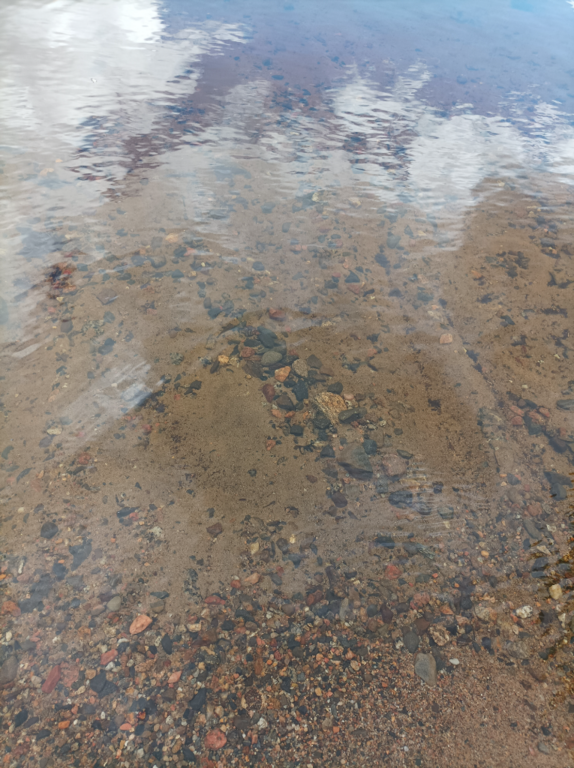 Lappajärvi (47.031.1.001)-Valtakunnallinen sinileväseuranta (Kivitippu)-ObsALG-202107201544-60f6c9a621eb8.png