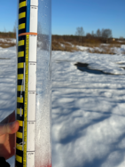 Muonionjärven alue (67.422)/Havaintopaikka 2