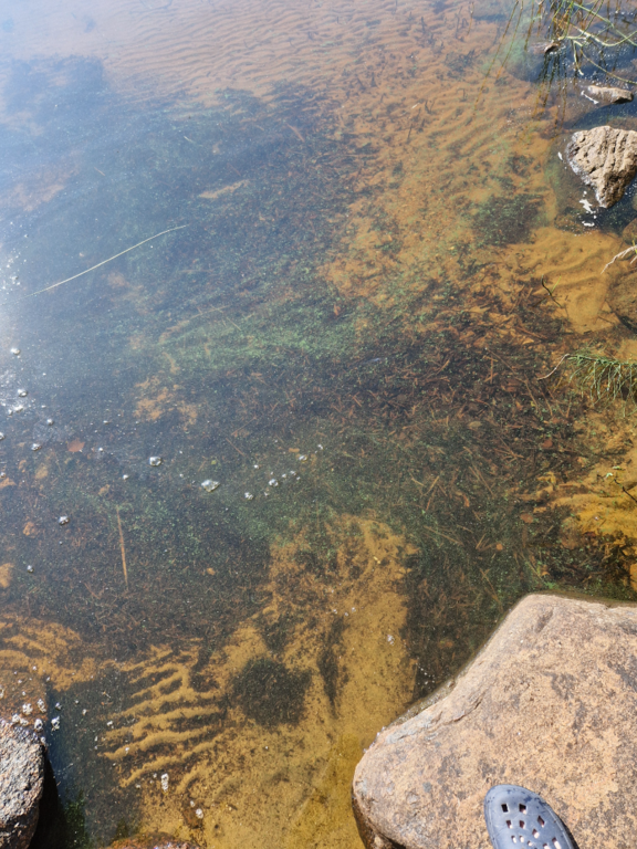 Rattosjärvi (67.964.1.001)-Rattosjärvi, veneenlaskupaikka-ObsALG-202507311357-688b4cc293f9d.png