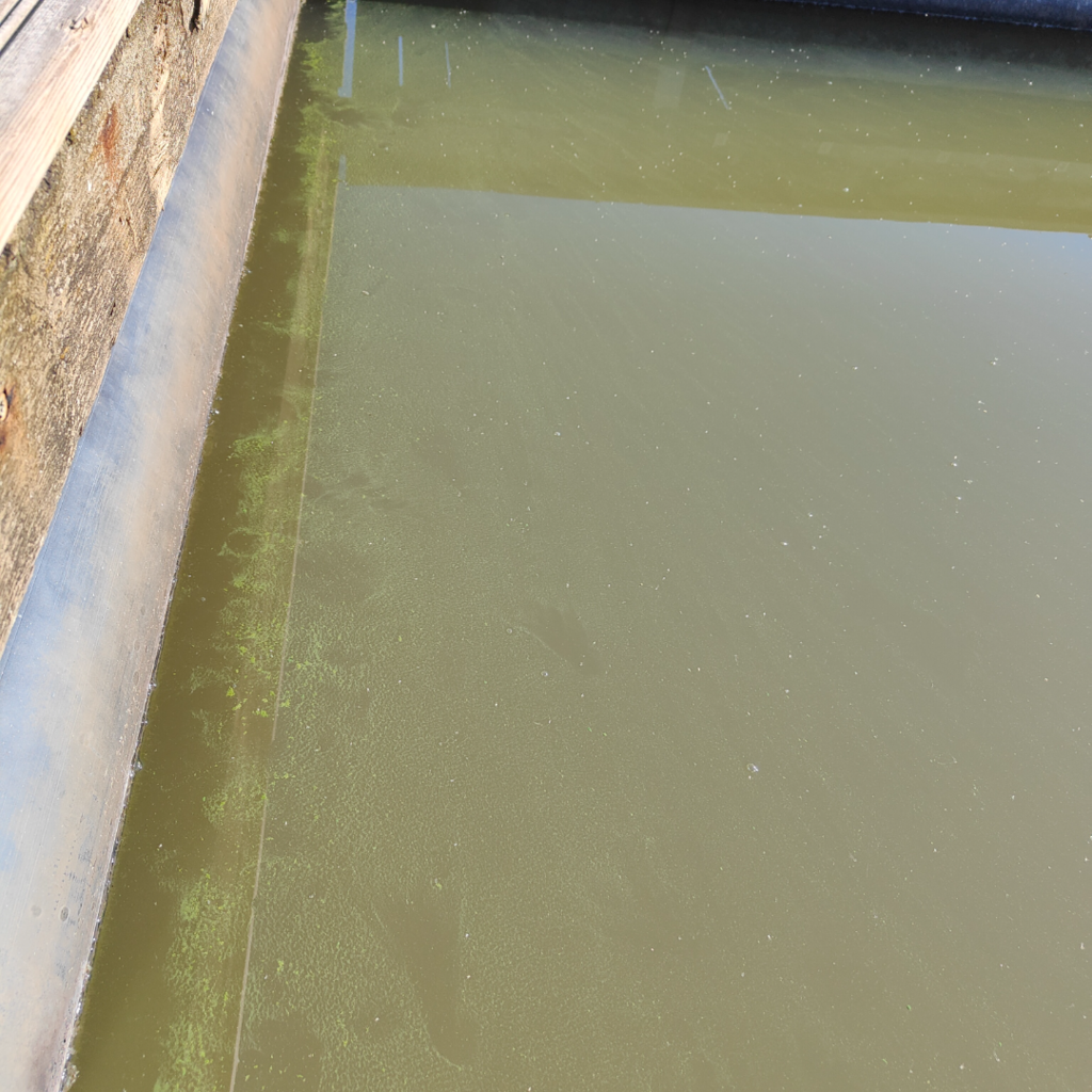 Tuusulanjärvi (21.082.1.001)-Laiturin pää-ObsALG-202508280915-68b01ef071f5a.png