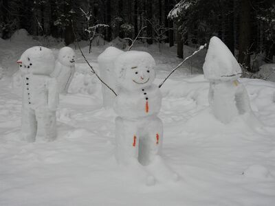 Havainto-Ladun maja, Jyväskylä-ObsSNOWMAN-201801301320-2.jpg