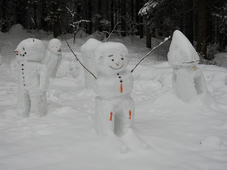 Havainto-Ladun maja, Jyväskylä-ObsSNOWMAN-201801301320-2.jpg