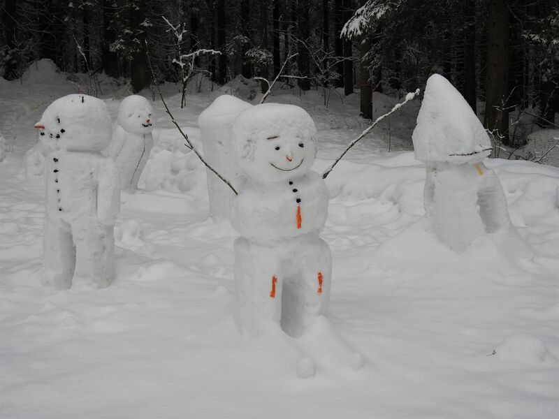 Tiedosto:Havainto-Ladun maja, Jyväskylä-ObsSNOWMAN-201801301320-2.jpg