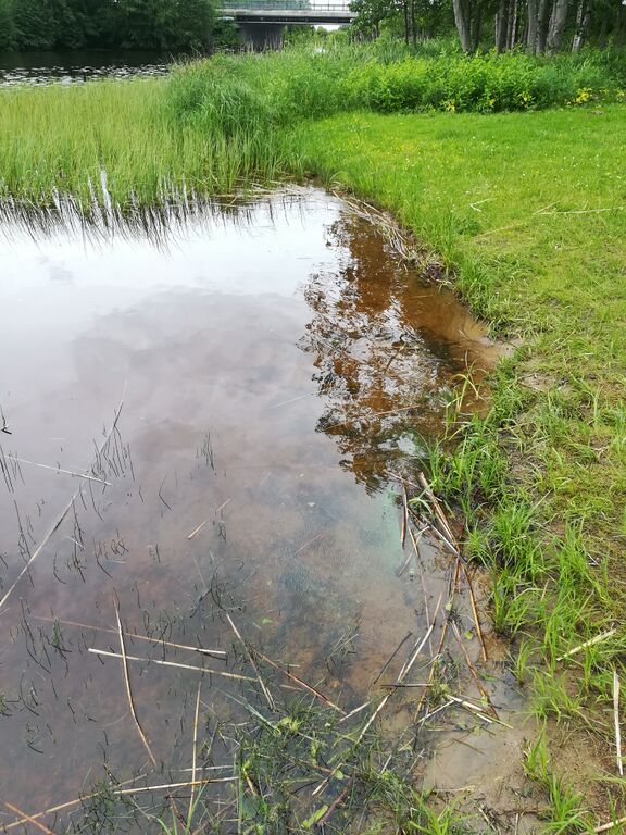 Onkivesi (04.511.1.001)-Valtakunnallinen sinileväseuranta-ObsIMG-201806261315-13.jpg