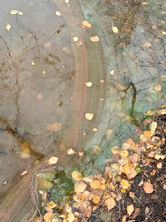 Pyhäjärvi (04.173.1.008)-Hattula Sulkava-ObsIMG-202510191333-68f4d4802465b.png