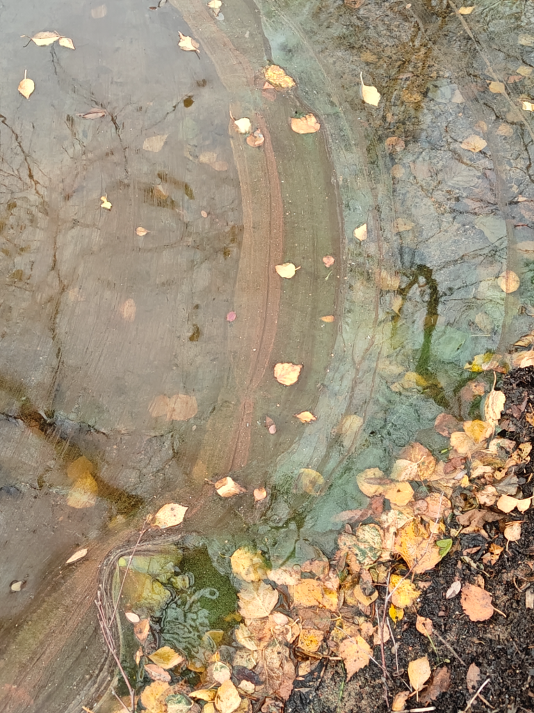 Pyhäjärvi (04.173.1.008)-Hattula Sulkava-ObsIMG-202510191333-68f4d4802465b.png