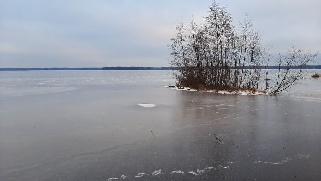 Saanijärven lähialue (14.491)-Saanijärvi, Viitainsaari-ObsICE-202012111500-22.jpg