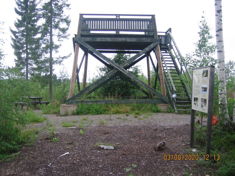 Siiponkosken lintutorni.JPG