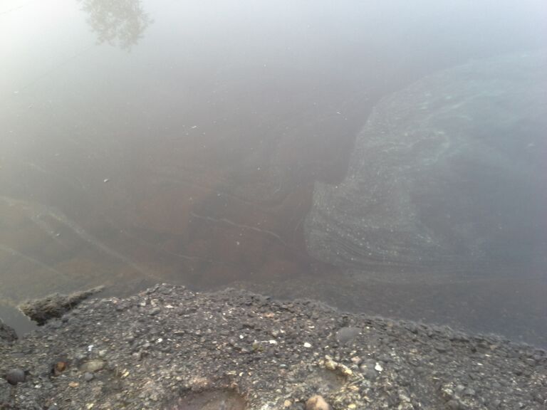 Sinilevää Suninsalmella.jpg