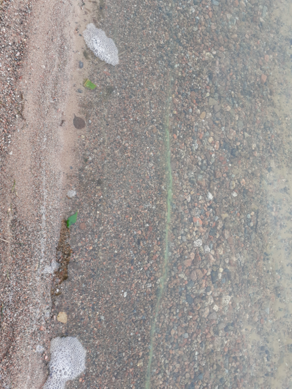 Urajärvi (14.123.1.001)-Valtakunnallinen sinileväseuranta-ObsIMG-202208230845-630469ab65adf.png