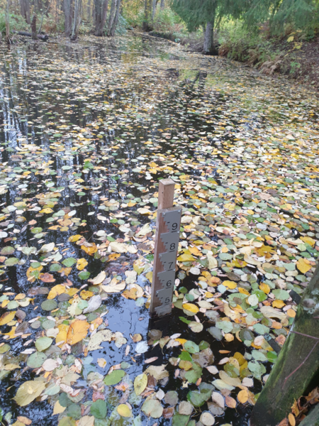 Tiedosto:Urpolanjoen valuma-alue (04.152)-Urpolan aarimaan puistoväylän silta-ObsIMG-202510161056-1760601456770.png