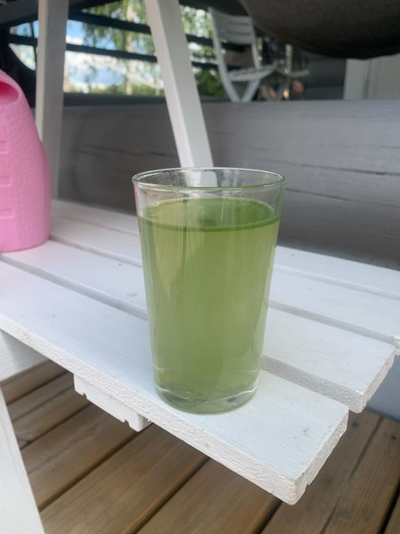 Valkjärvi (35.838.1.001)-Villa Amalian ranta-ObsIMG-202307251317-64bfa2e777bdc.png