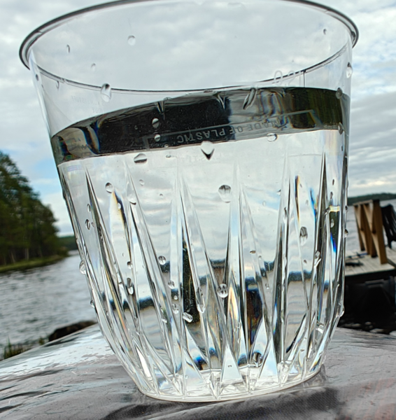 Tiedosto:Karijärvi (14.943.1.001)-Lammassaari-ObsIMG-202507101803-686fd69b04bbc.png