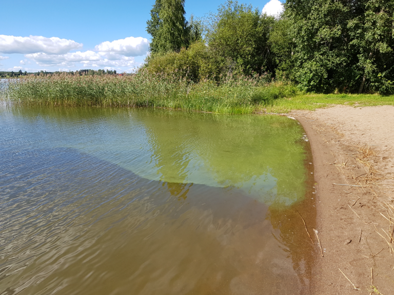 Kevätön (04.652.1.026)-Valtakunnallinen sinileväseuranta-ObsIMG-202208091325-62f2368bdc653.png