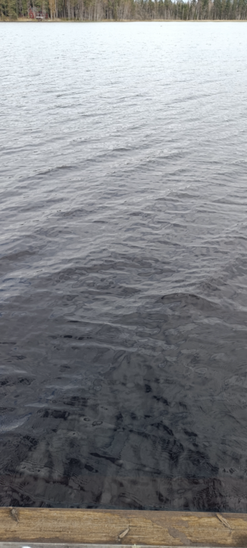 Kikurinjärvi (35.289.1.008)-Rotarien sinileväseuranta-ObsIMG-202505061705-681a18a5d2dae.png