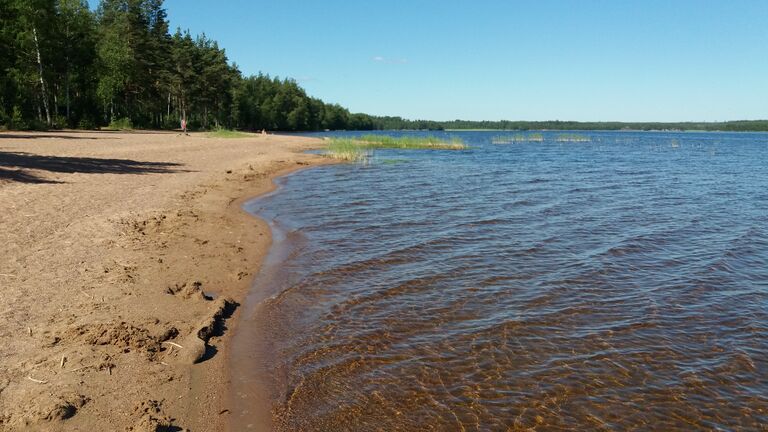 Lappalanjärvi (14.181.1.001)-Särkkien uimaranta-ObsIMG-202006221000-9.jpg