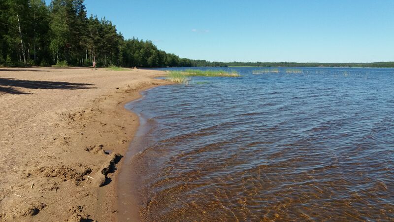 Tiedosto:Lappalanjärvi (14.181.1.001)-Särkkien uimaranta-ObsIMG-202006221000-9.jpg