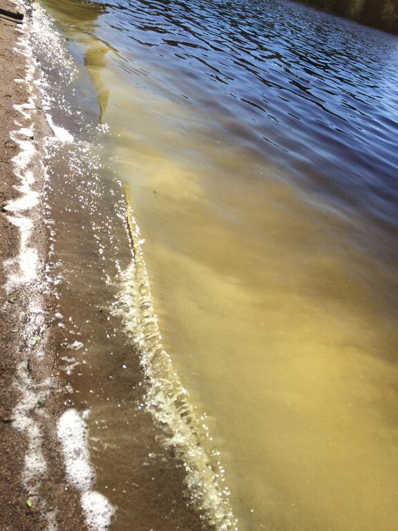 Lappajärvi (47.031.1.001)-Valtakunnallinen sinileväseuranta (Lakaniemi)-ObsIMG-202006091441-43.jpeg