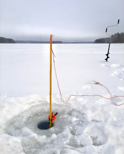 Tiedosto:Sääksjärvi (23.097.1.002)-Sääksjärvi-ObsICE-202602041330-1770208262025.png