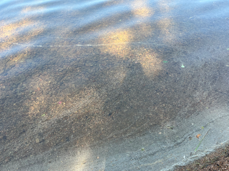 Suolajärvi (14.911.1.004)-Havaintopaikka 1-ObsALG-202507191221-687b66851c0f5.png