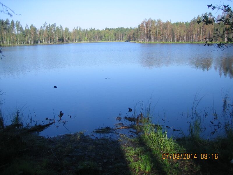 Tiedosto:Suuri Hanhilampi.JPG