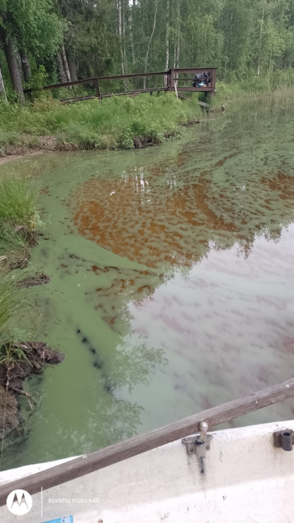 Viiksimonjärvi (59.953.1.025)-Havaintopaikka 1-ObsIMG-202507030910-68677165ec889.png