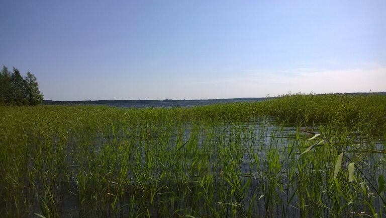 20140713 114515000 iOS.jpg