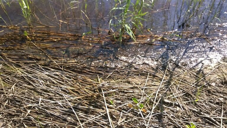 20140713 120711000 iOS.jpg