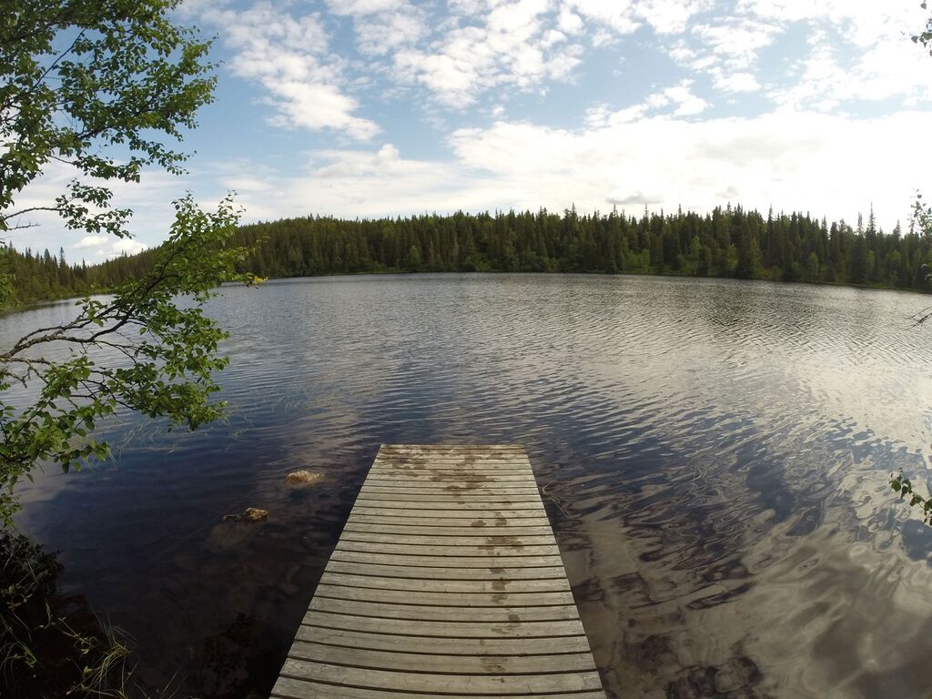 Valtavaaranlammen laavu 2014-06-23.jpg