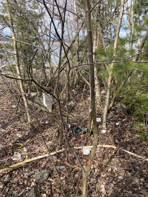 Havainto-Kruunuvuorenrannan ranta-alueet-ObsTRASH-202105190917-60a4b215dd0fc.png