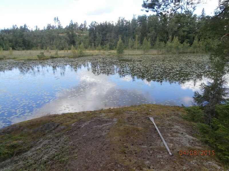 Tiedosto:Kvarntrasket 2.JPG