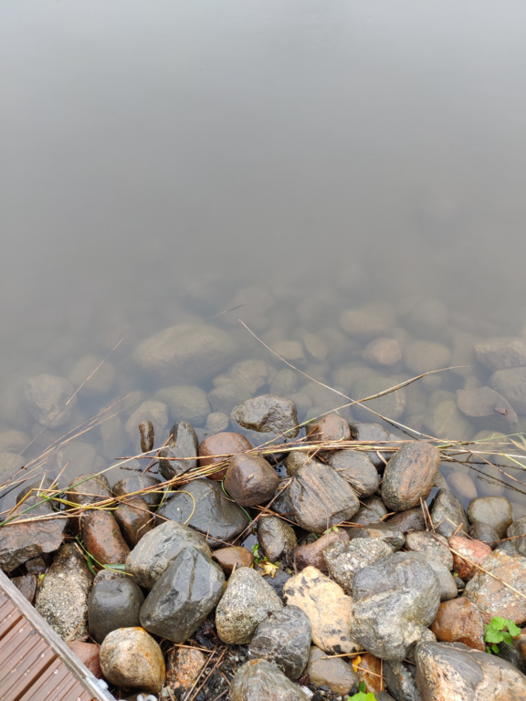 Päijänne (yhd.)-Valtakunnallinen sinileväseuranta (Majutvesi)-ObsALG-202308301614-64ef403474669.png