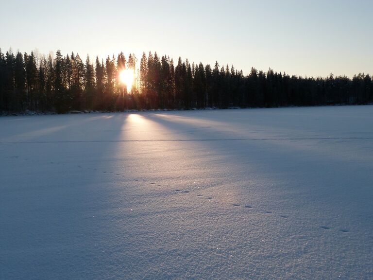 P1110095 (Medium).JPG