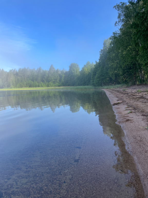 Pyhäjärvi (14.121.1.004)-Valtakunnallinen sinileväseuranta (Kirkkojärvi, Heinlahden uimaranta)-ObsIMG-202606160805-1781586595946.png