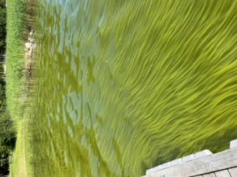 Bengtsår-Mökkilaituri Båtviken Alenstugan-ObsALG-202206251758-62b722dd2fcf5.png